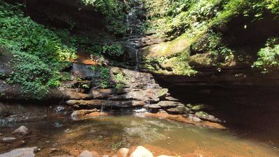 赤水大瀑布 侏罗纪公园 (贵州赤水侏罗纪公园攻略)