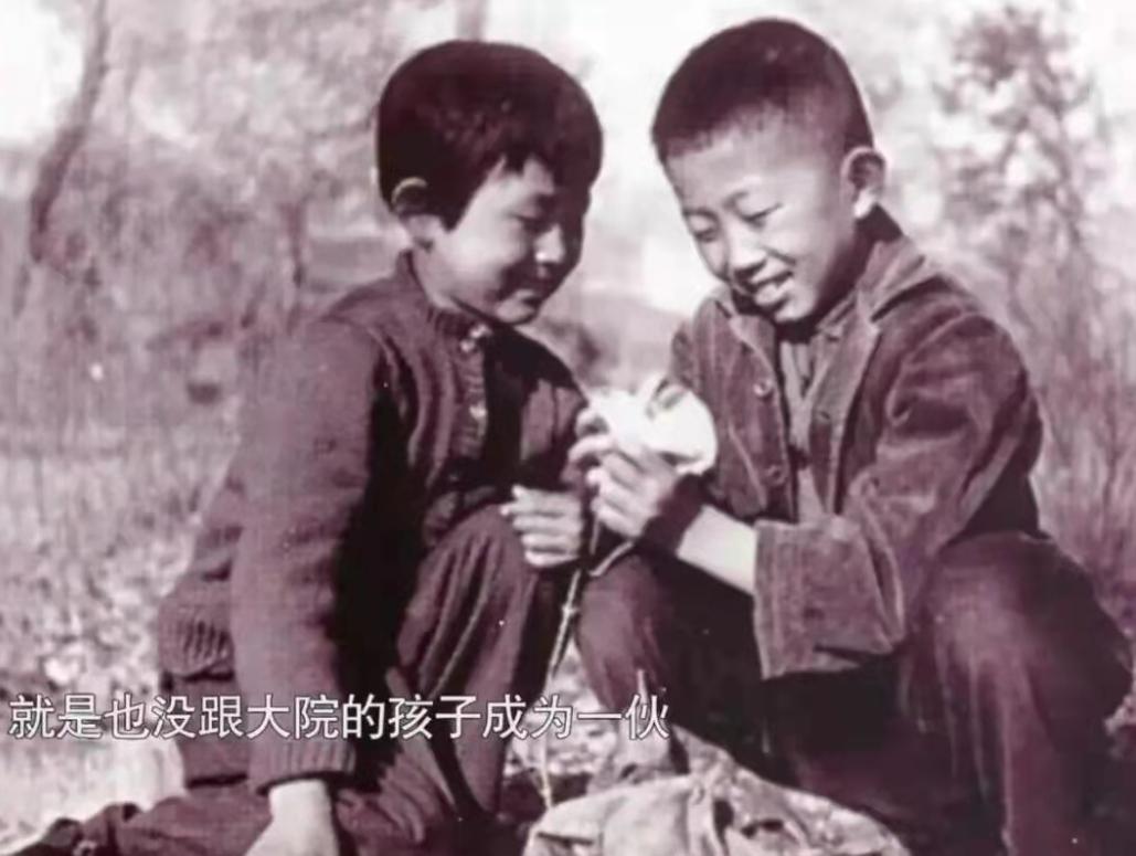 人间异类陈瑾,陈瑾20年不结婚不生孩子