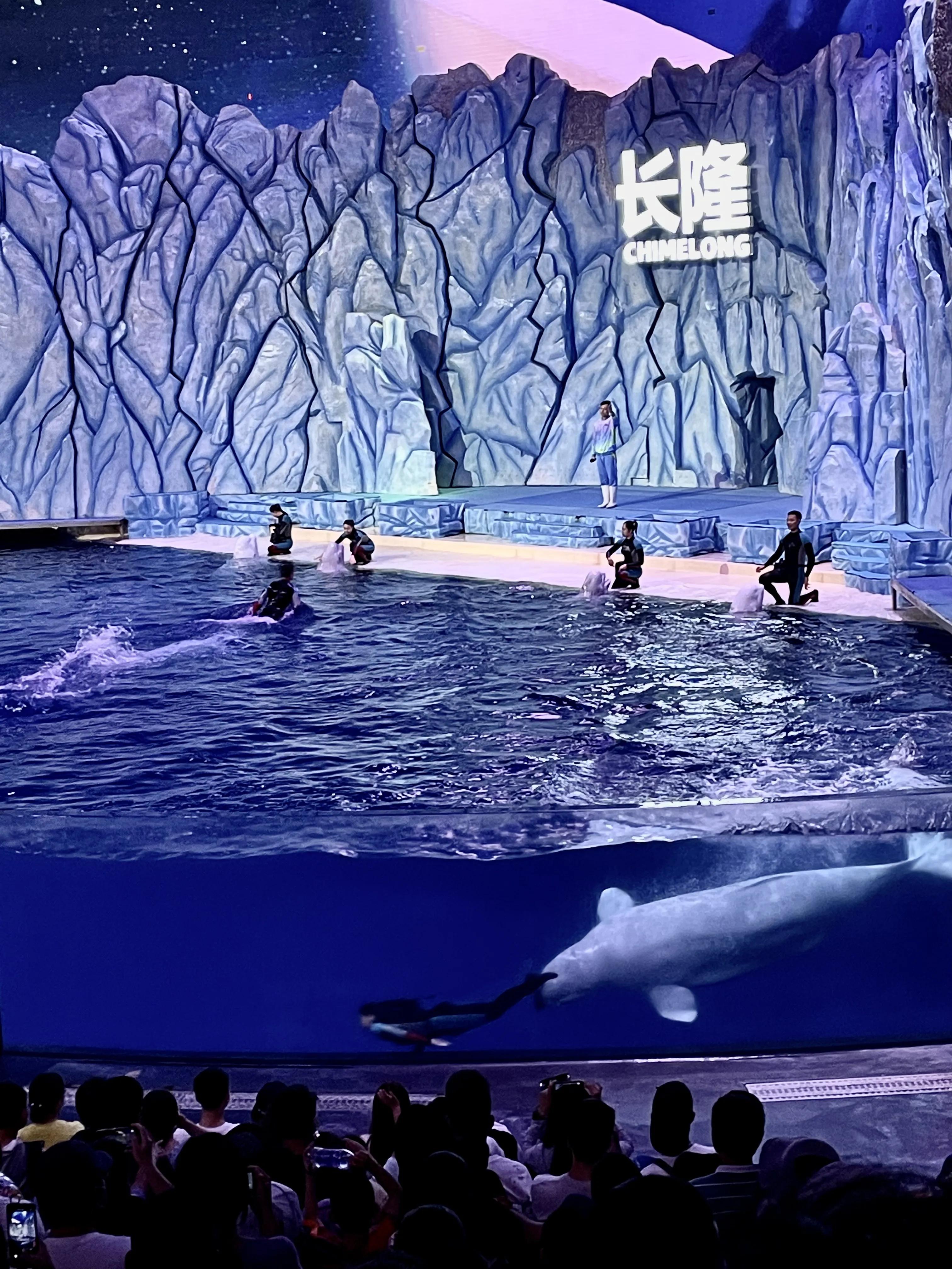 珠海长隆旅游攻略带孩子一日游,珠海长隆马戏团游记