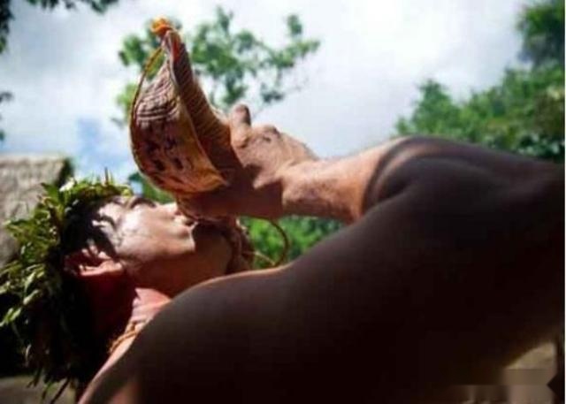 美国最原始的部落,美国原始部落