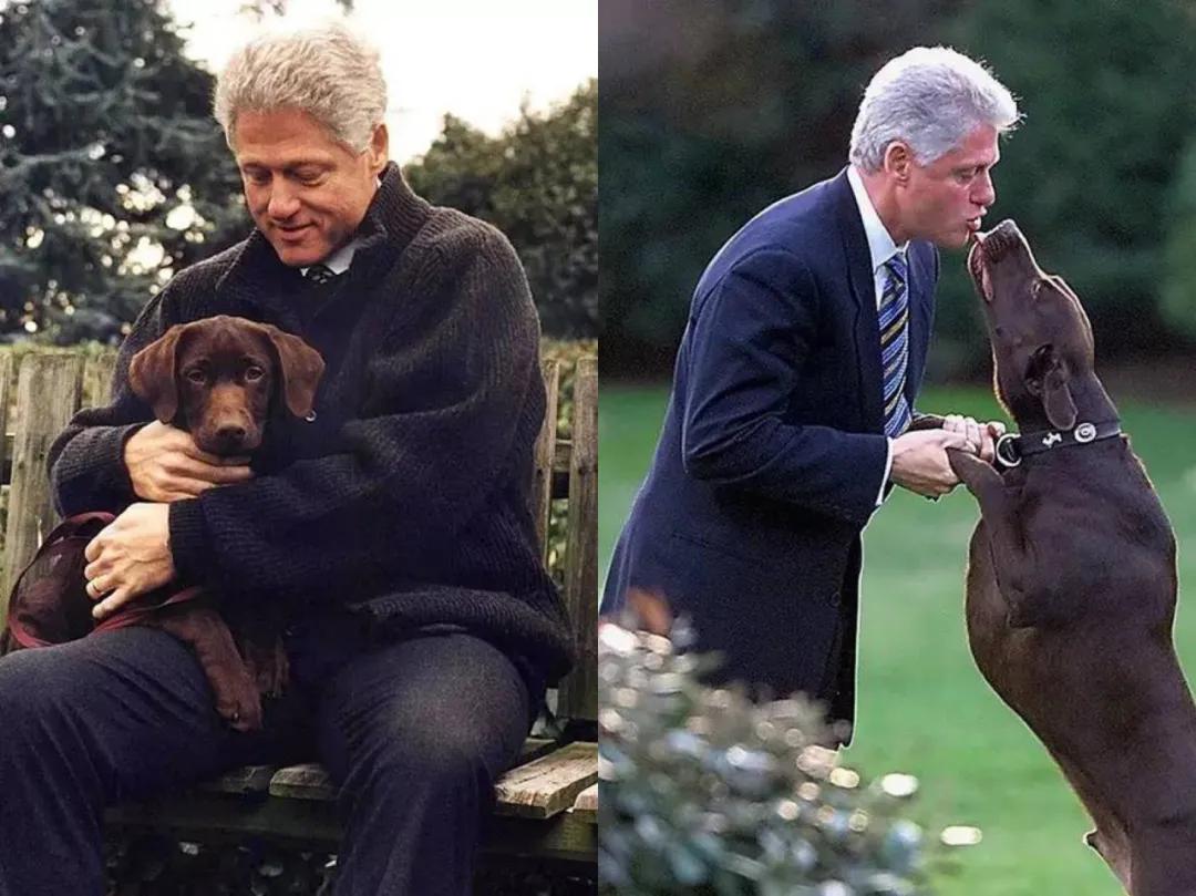 拜登白宫狗,拜登和狗狗