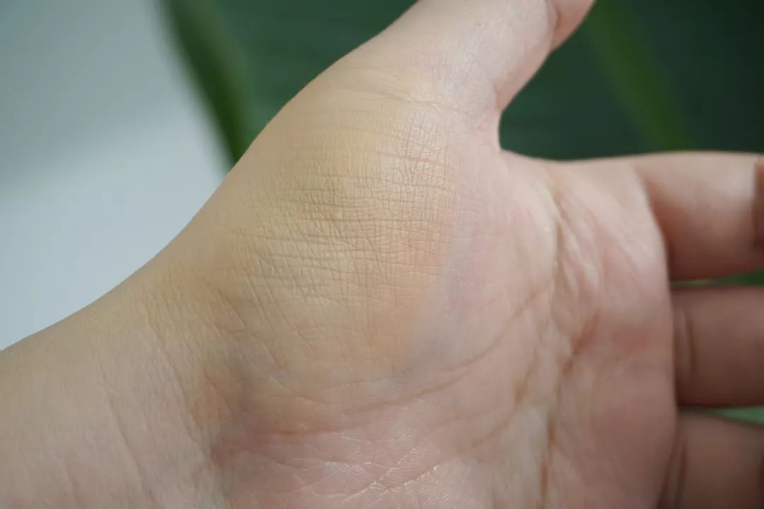 秋冬温柔显白美甲腮红,橘朵腮红哪个适合秋冬