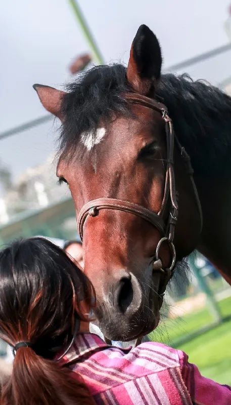 2022年南京体育活动,南京奥体中心体育健身嘉年华