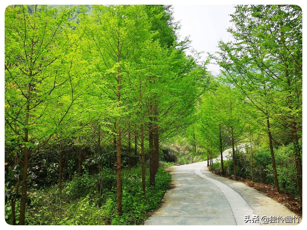 分享摄影爱好者的视频,学摄影如何少走弯路