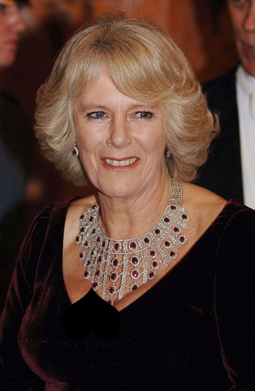 沙特王室送卡米拉项链,沙特皇室送的土豪礼物