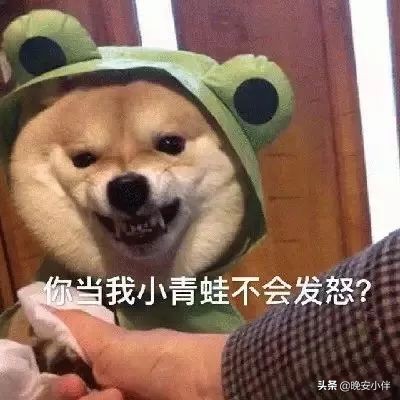 发出去的红包过期了怎么没退回来,微信发的红包对方不收还能回来吗