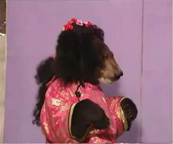 尘封的宝藏，童年的记忆：《动物王国窃案》及那些被遗忘的神作