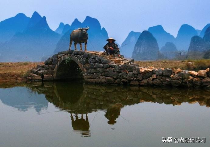 王维笔下最美的田园唐诗,对牛的描写,展现一个诗情画意新世界