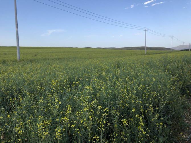 出游大美新疆第十四天,郑州周边2-3天短途旅游亲子11月