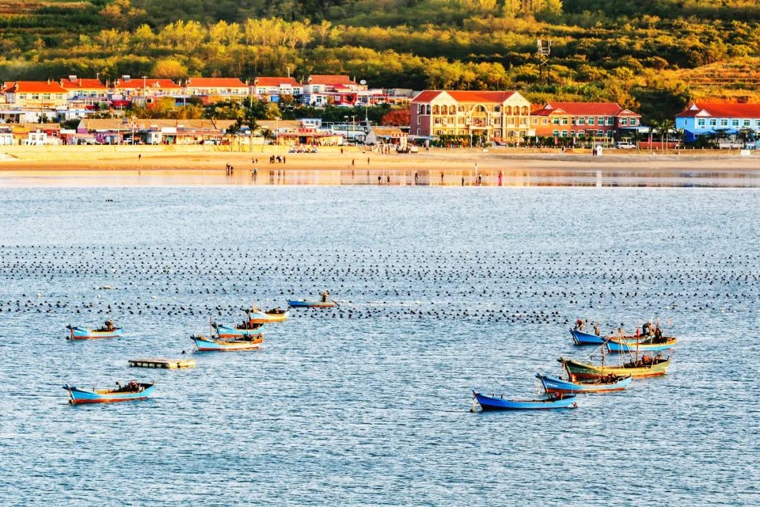 想去大连了,还有人想去大连吗