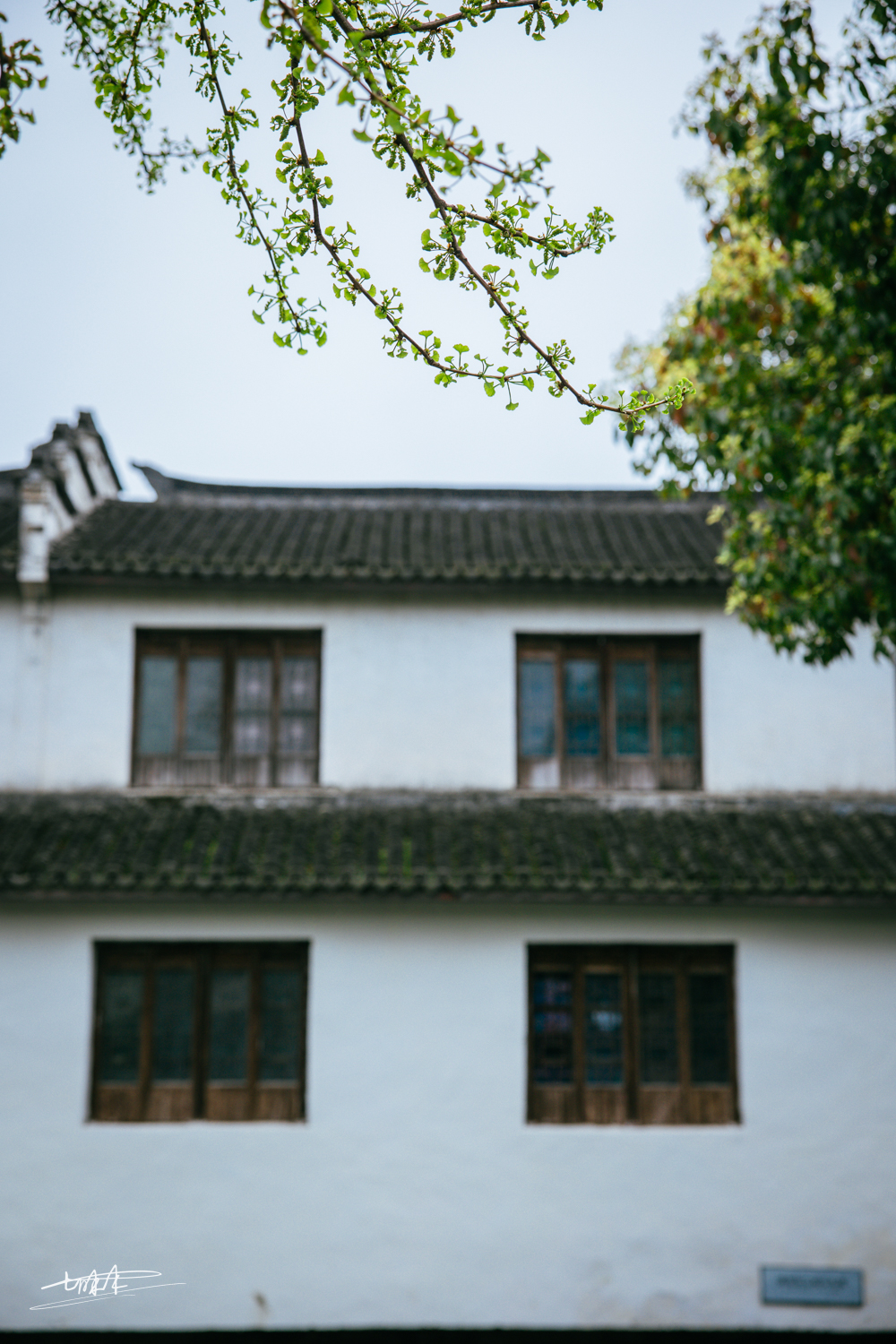 周庄古镇江南水乡美如画,周庄梦里水乡视频