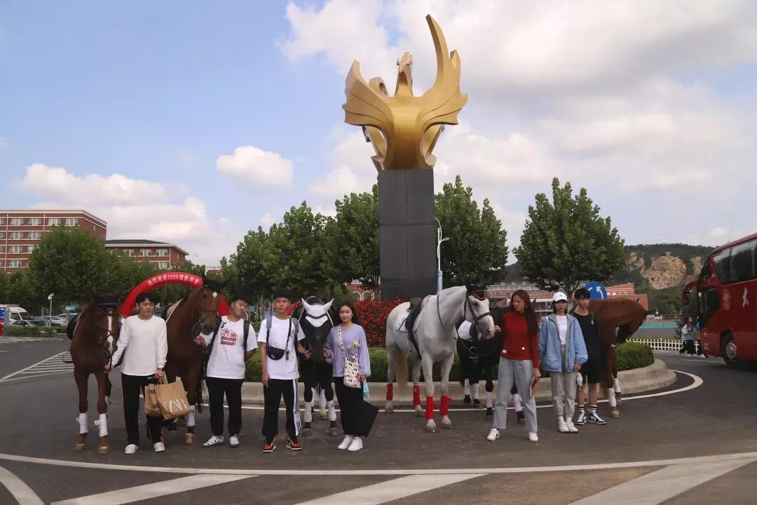 民办学校大连艺术学院全国排名,大连艺术学院辽宁排名