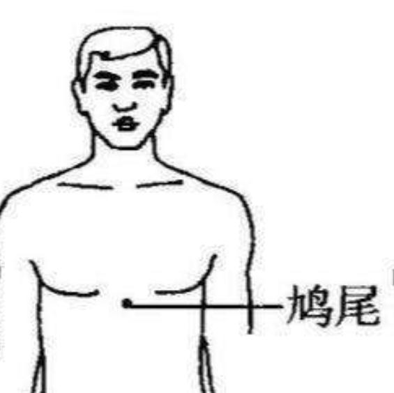 穴位鸠尾穴,腧穴之道鸠尾穴
