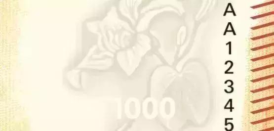 鏂扮増娓竵鍦ㄩ娓兘鐢ㄥ悧,鏂扮増棣欐腐娓竵鍙互鍦ㄩ娓娇鐢ㄥ悧