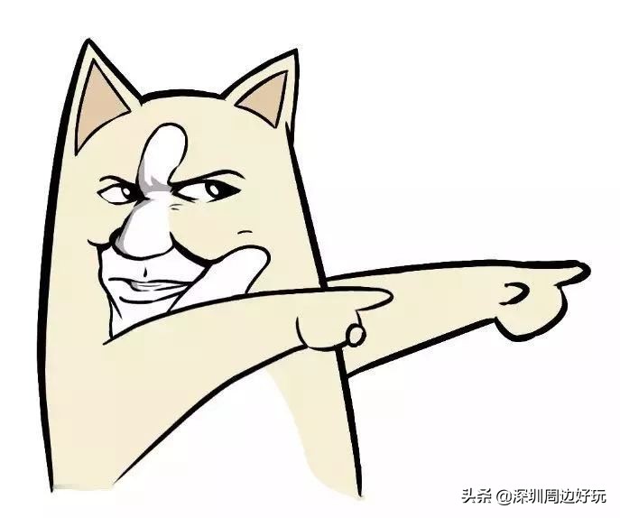 住在深圳各区的人,住在深圳市的人