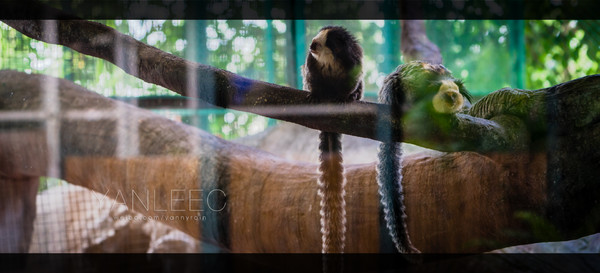 深度玩转泰国攻略,泰国游国际漫游