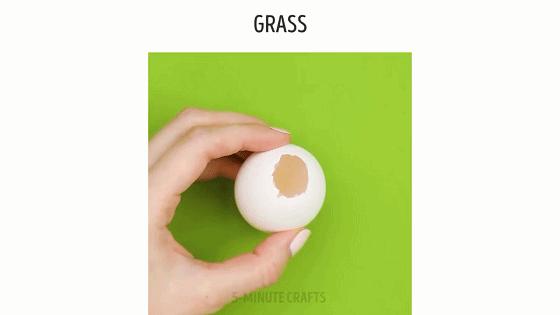 在家怎么无土种菜简单又安全,家庭种菜不用肥料种菜方法