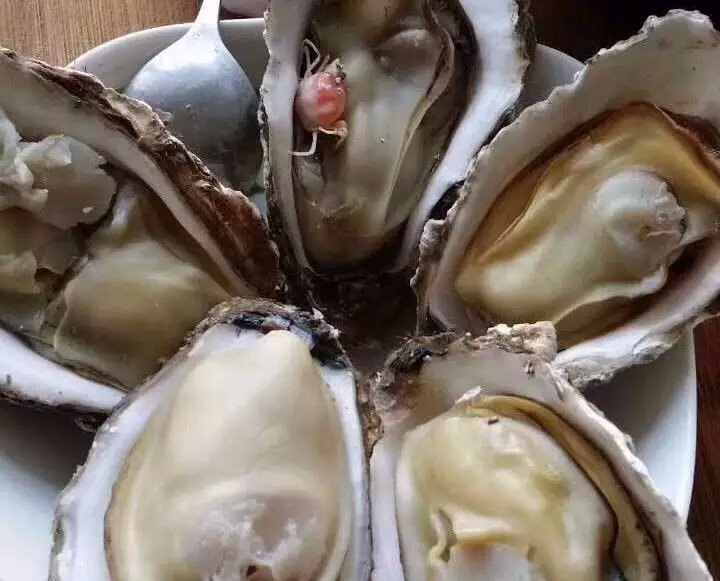 吃生蚝必须知道的20条定律,乳山牡蛎生蚝可以生吃吗