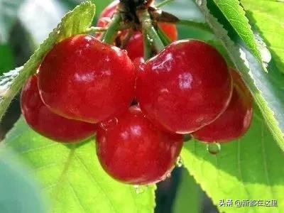 这才是9月最值得去的地方,4月最值得去的地方