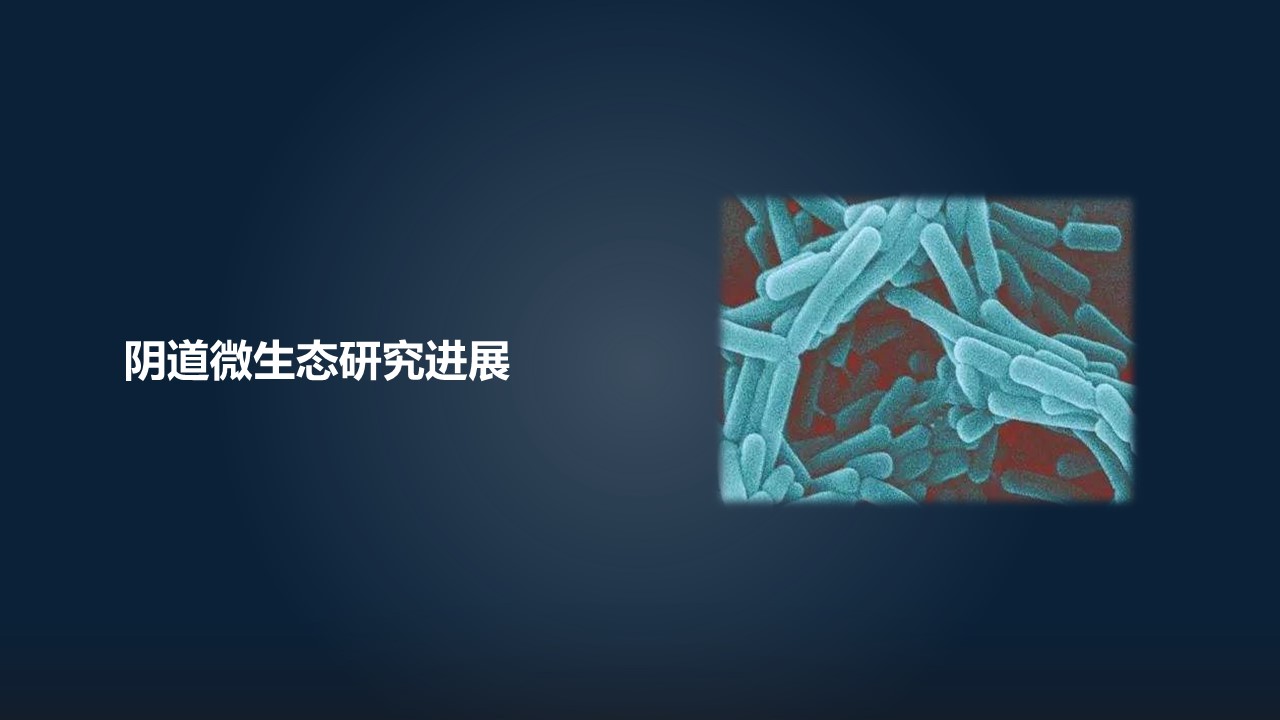 肖冰冰的小视频,肖冰冰讲的12生肖