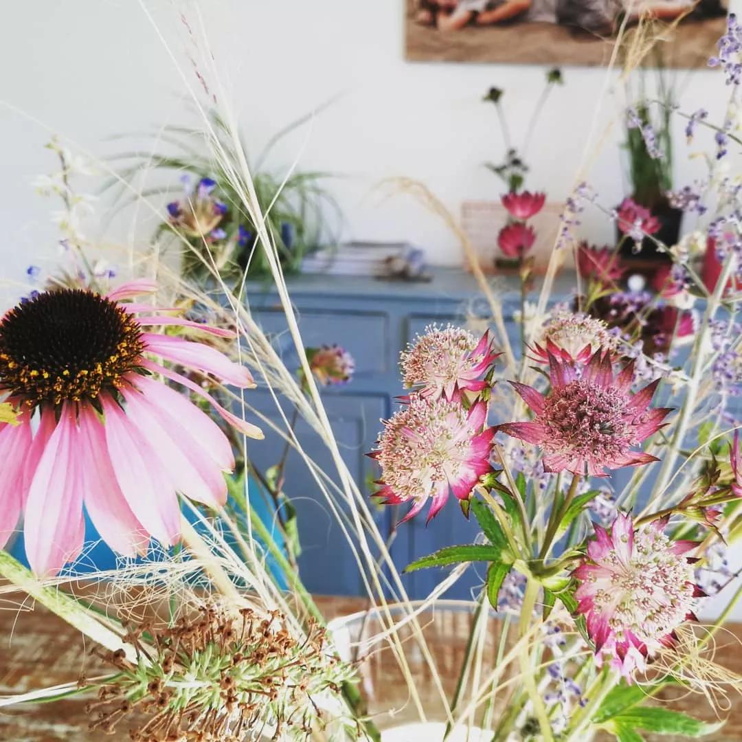 可以在室内燃放的烟花爆竹,植物烟花可以放室内吗