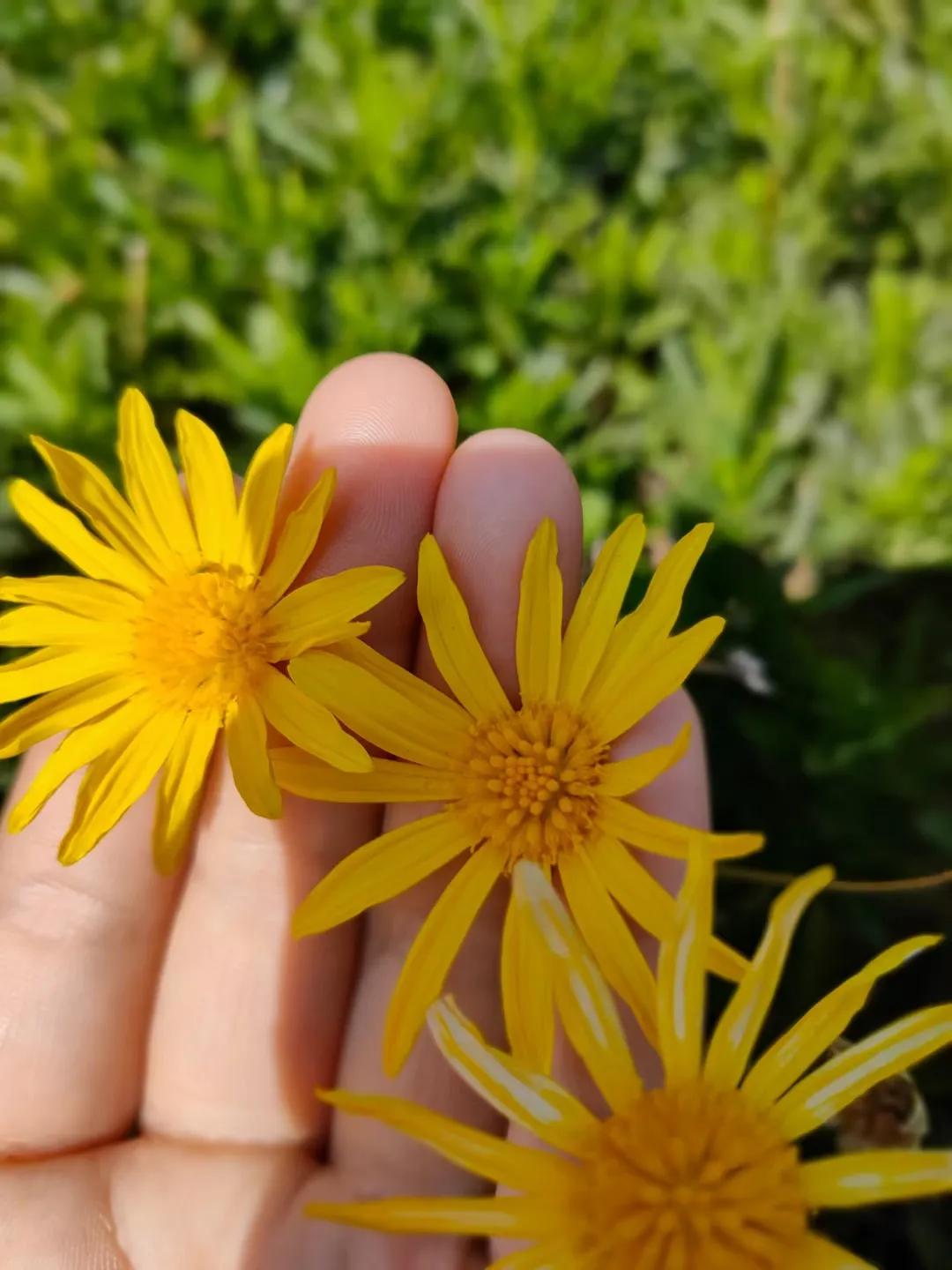 知道自己要什么的女人最有魅力,知道自己要什么就好