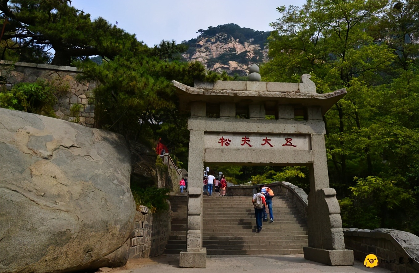 松柏也好，杨柳也罢，每天路边见到的那棵，就是你心中最美的大树