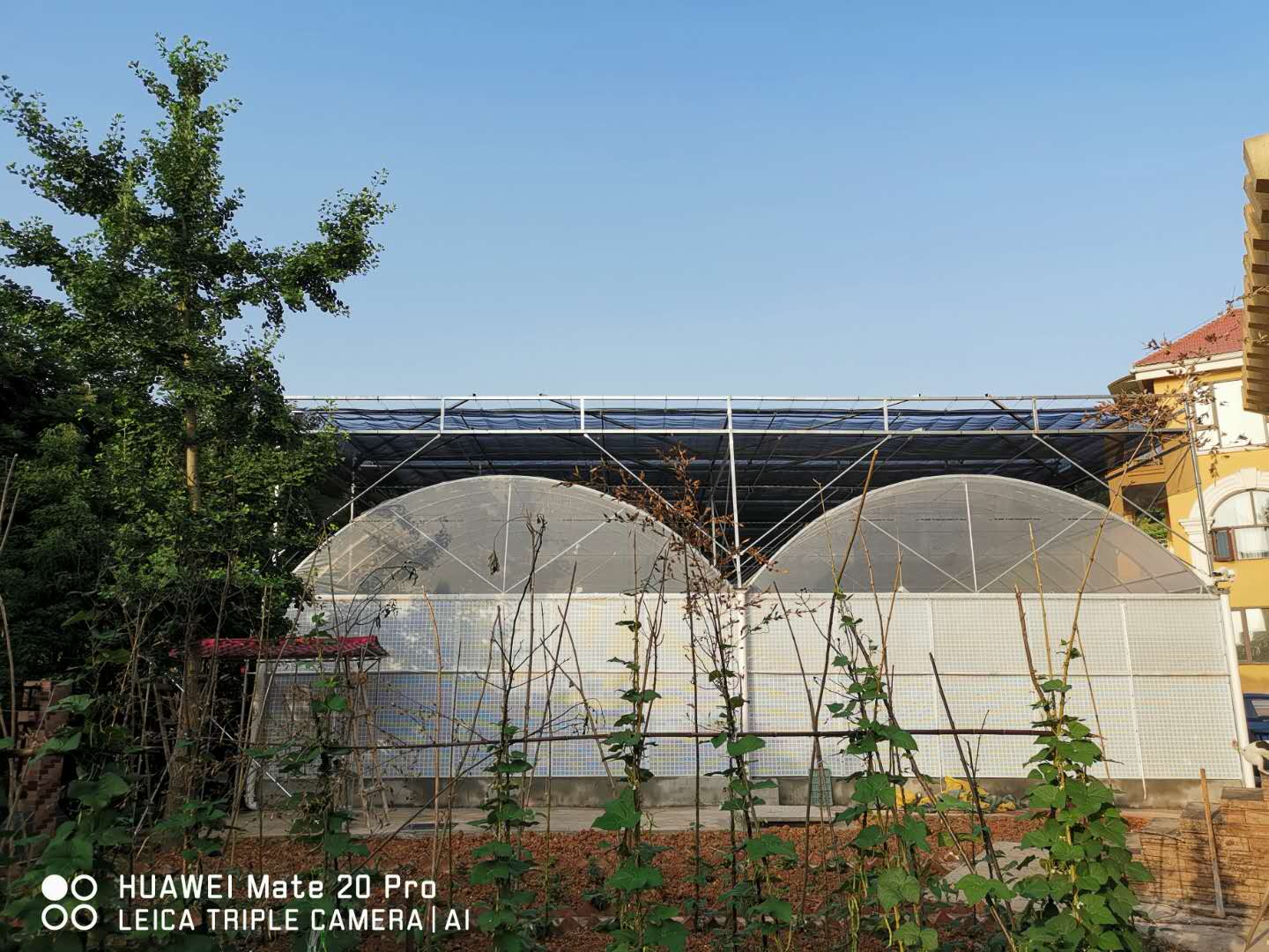 有惊无险的一天的记录,一次有惊无险的经历朋友圈