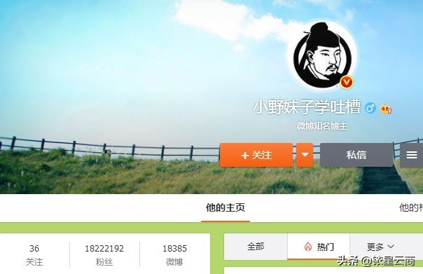 大v百货店,大v店发展状态