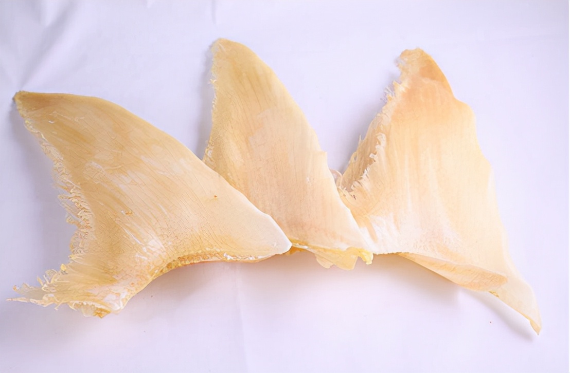 哥伦比亚查获130只走私毒蛙,哥伦比亚海关查获最大冻品