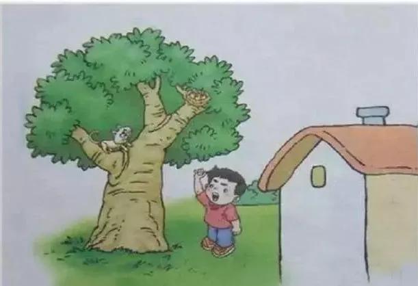 开学看图写话,二年级下册语文看图写话开学