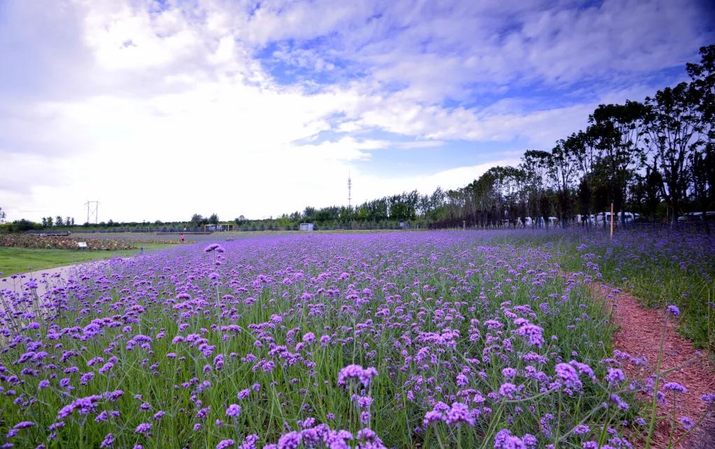 西安公园24小时开放,西安未央湖公园免费开放时间