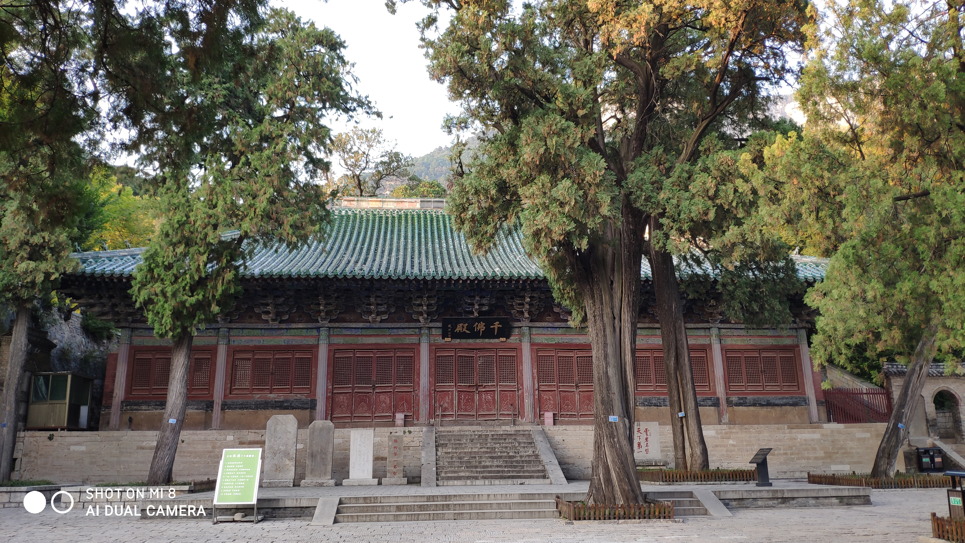 去济南灵岩寺什么必看,济南灵岩寺神树