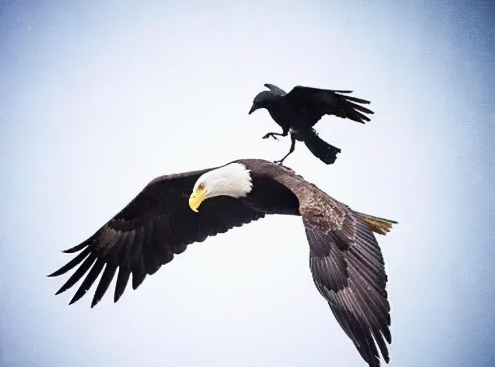 八下物理叠加物体受力分析,八上物理第一章运动讲解