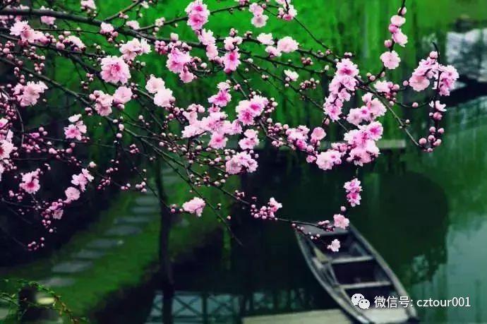 常州周末适合去哪里踏青,清明农庄亲子游攻略