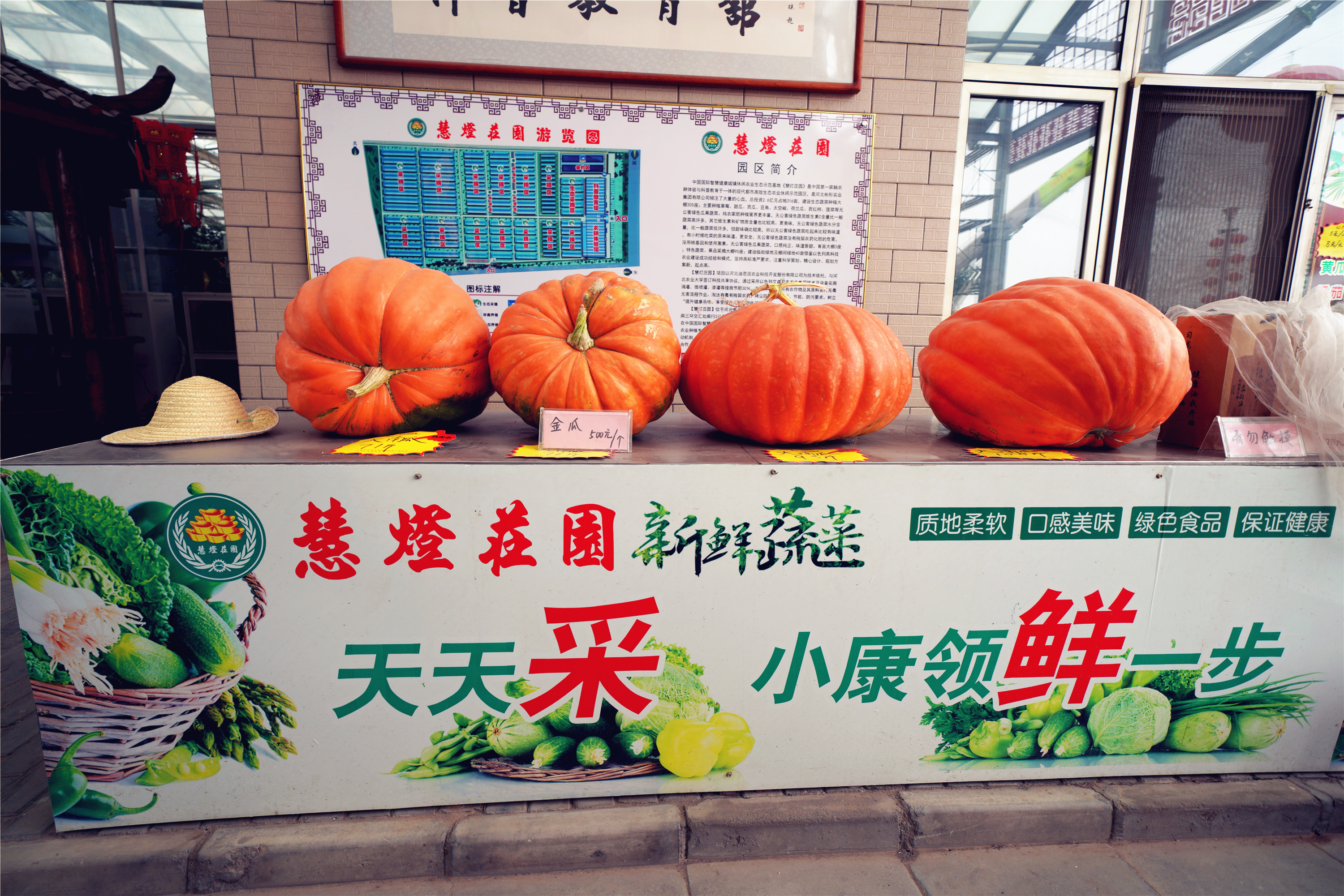 扎啤免费喝，狂欢100天仅需198元，慧灯庄园喊你盛夏尽情嗨