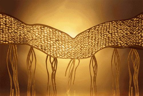 螨虫真的很可怕吗,螨虫有那么严重吗