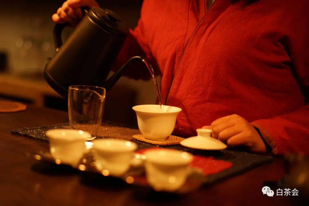 春节在家闷泡老白茶,夏天喝白茶的十大好处