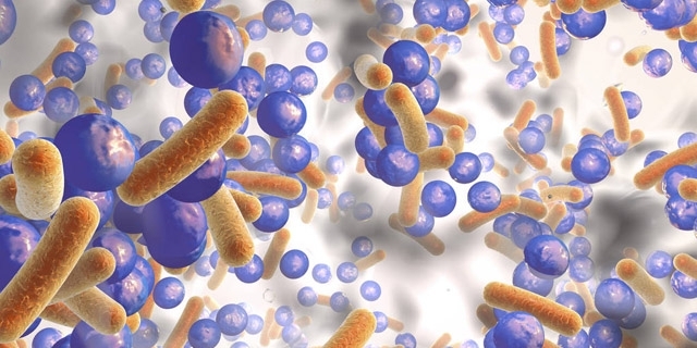 常见致病菌天然耐药,临床上最常见的五种耐药菌