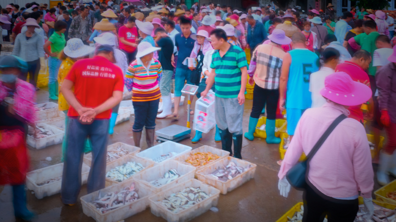 广东湛江旅游攻略美食,湛江旅游海鲜推荐一下