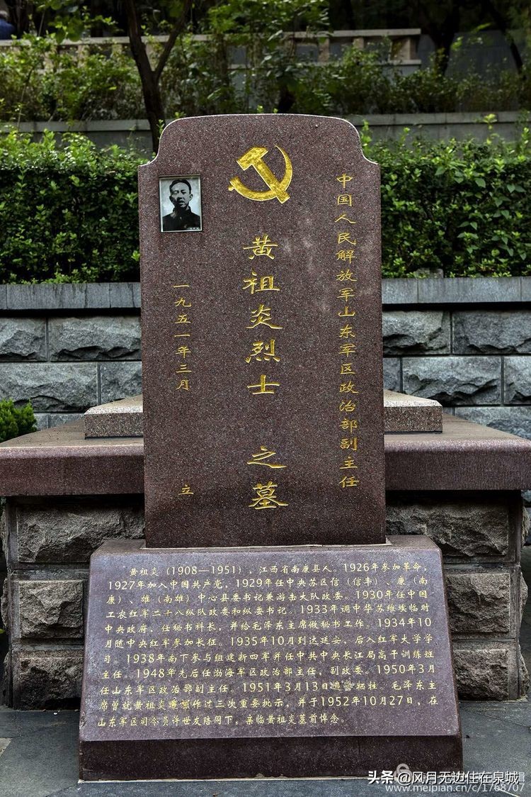 济南一颗梧桐树,济南的法国梧桐