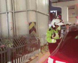 铁骑“快闪”查酒驾,昨晚17只“醉猫”落网!今晚免费“送代驾”!