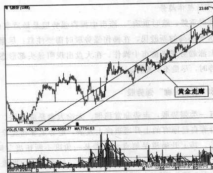 短线怎样跟庄,短线如何跟庄