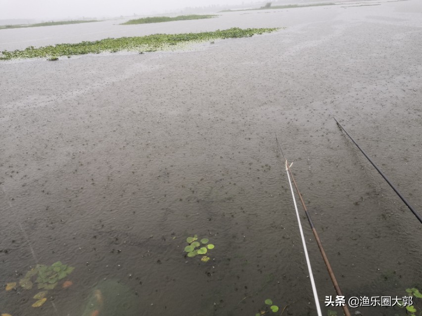 早上鲫鱼钓鱼方法与技巧,鲫鱼早上几点最好钓