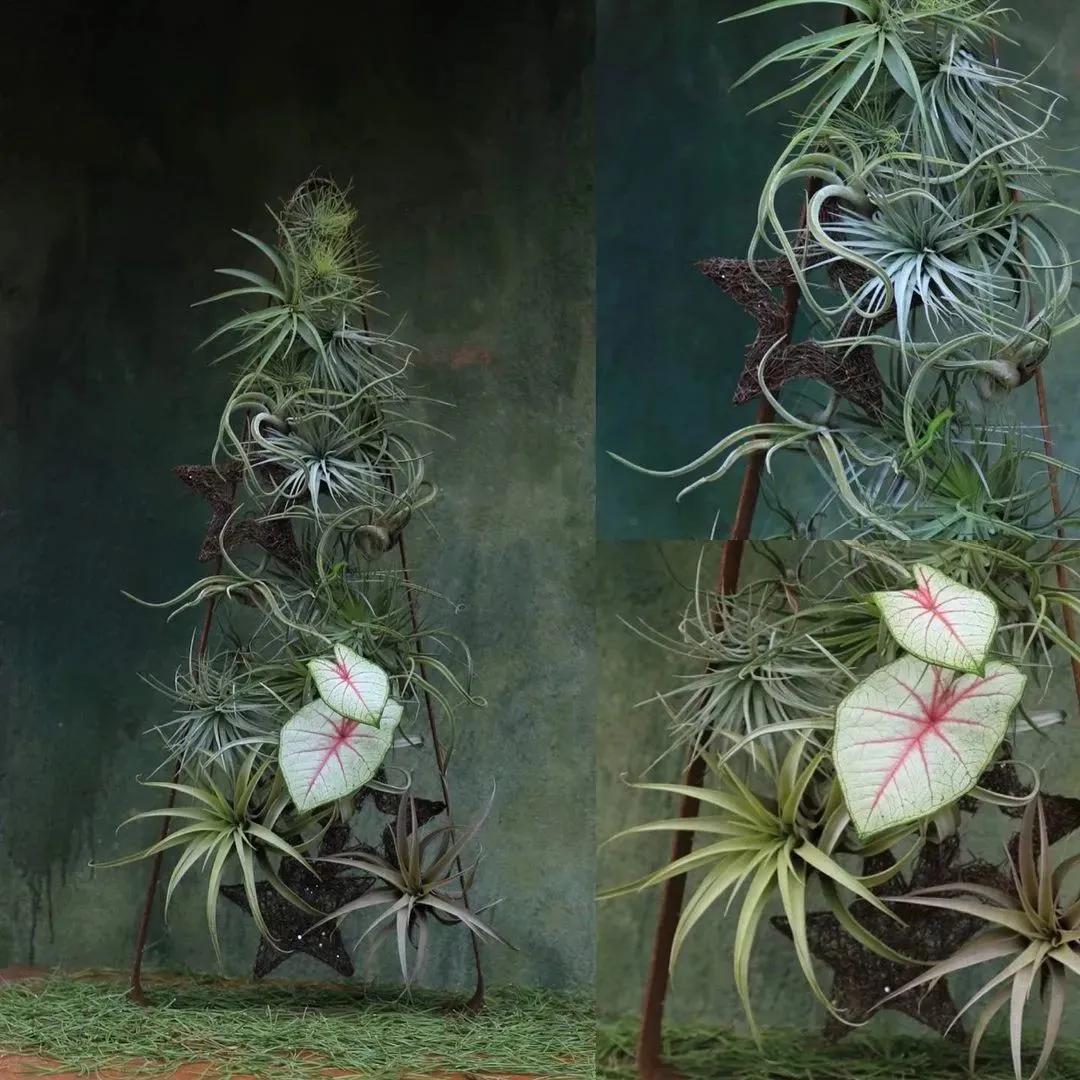 圣诞元素设计,圣诞设计创意