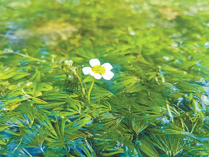 林草科普视频,林草科普