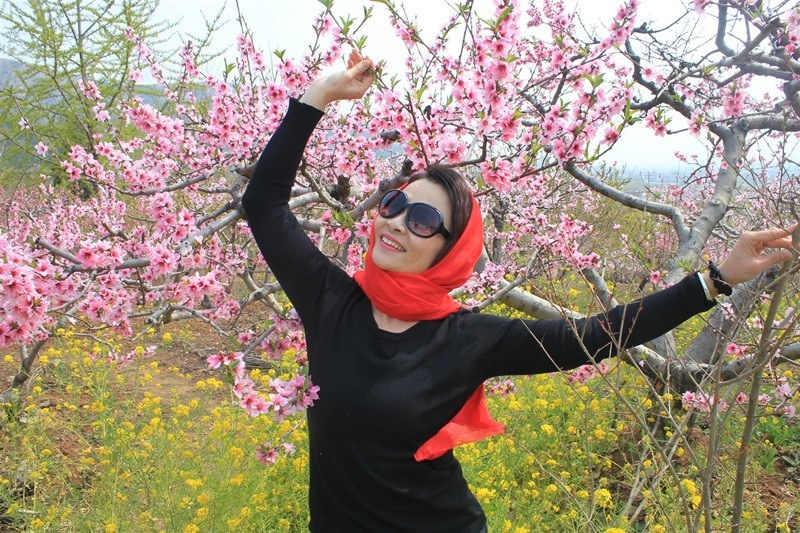 枣庄峄城仙人洞桃花节,峄城仙人洞桃花节直播