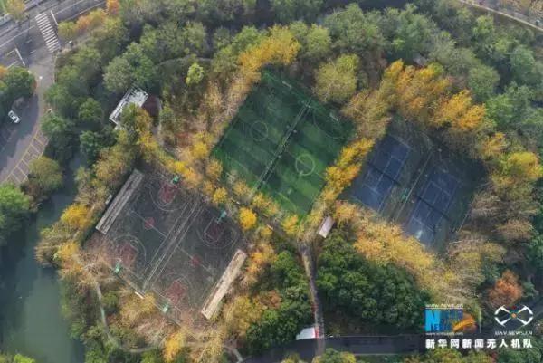 常州有没有免费的健身房,常州健身房推荐钟楼区