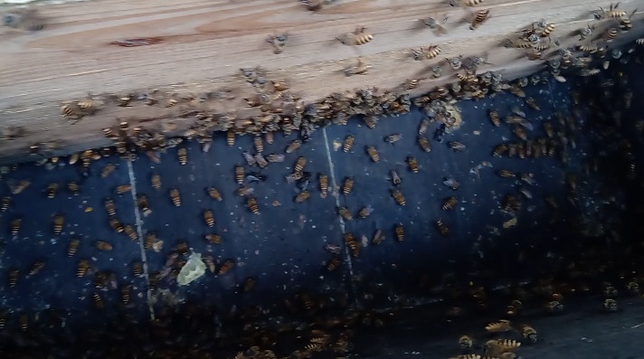 藏在深山里的宝藏,藏在大山里的财富