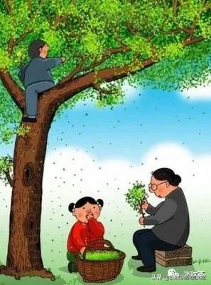 高淑红章丘,高淑红